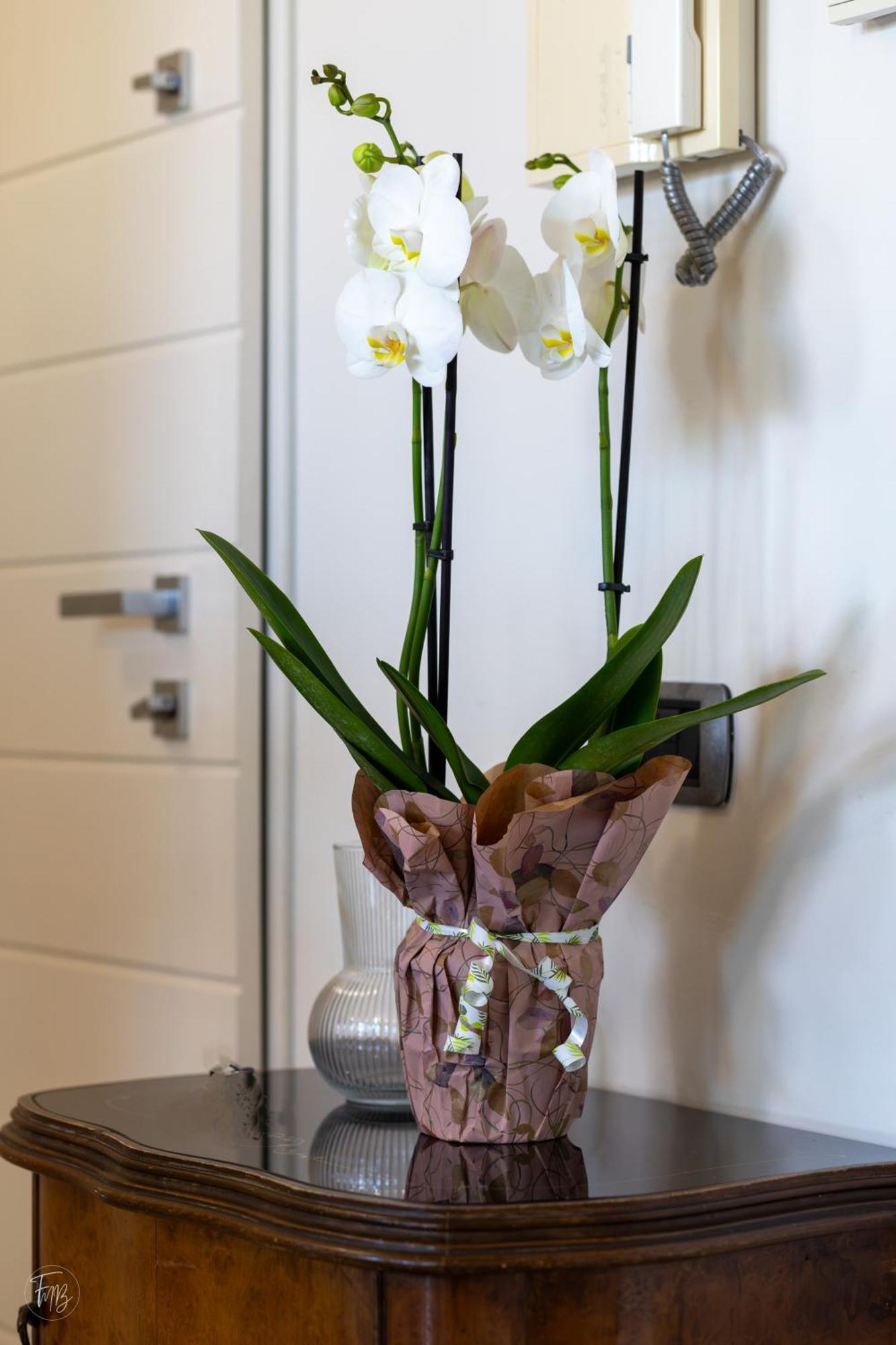 Santa Gilla Apartment Cagliari Dış mekan fotoğraf